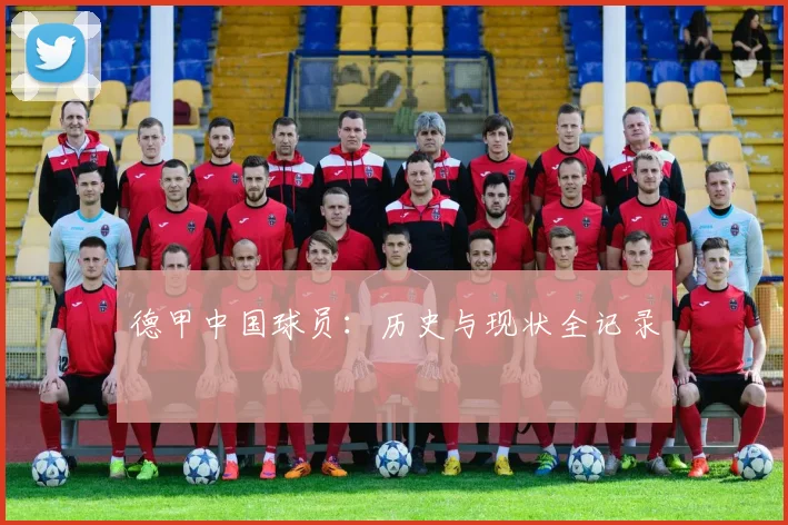 德甲中国球员：历史与现状全记录