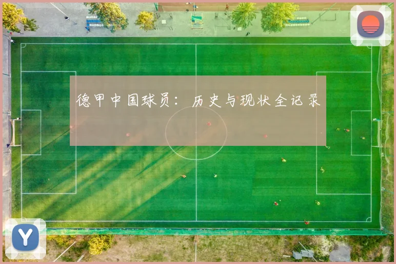 德甲中国球员：历史与现状全记录