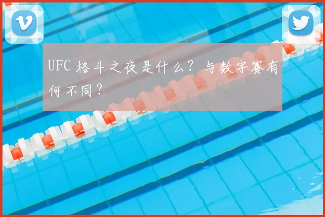 UFC 格斗之夜是什么？与数字赛有何不同？