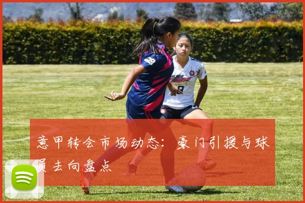 意甲转会市场动态:豪门引援与球员去向盘点