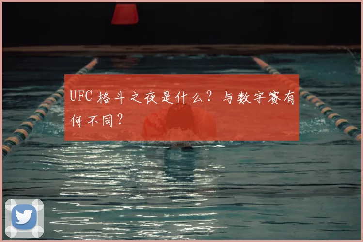UFC 格斗之夜是什么?与数字赛有何不同?